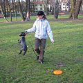 frisbee #PiesSznaucer