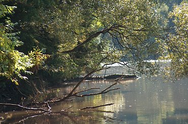 Jezioro Wrzeszczyńskie oraz okolice #ZaporaWodna #krajobraz #ElektrowniaWodna #pilchowice #JeleniaGóra #tama #bóbr #natura #przyroda #rzeka #jezioro #las