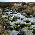 w dolinie Glencree