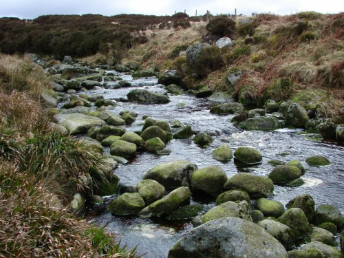 w dolinie Glencree