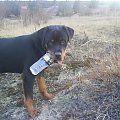 cholera, wszystko wypiła a mi każe puste flaszki nosić...:)) 03.04.08