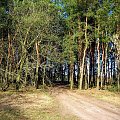 Droga leśna jesienią Ostrołęka 2006r.