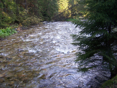 Tatry Zachodnie 2007