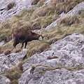 tatry zachodnie