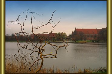 Malbork po drugiej stronie Nogatu. #Malbork #Nogat #miasta #rzeki
