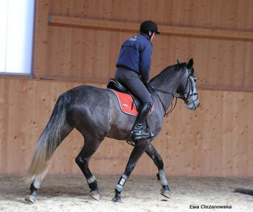 08.04.2008 Łomnica II trening