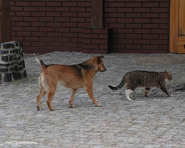 08.04.2008 Łomnica II trening