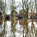 York