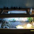 Terrarium