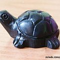 żółwik z marmuru #żółw #żółwik #kolekcja