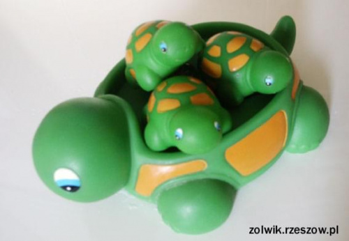 żółwik #żółw #żółowik #kolekcja
