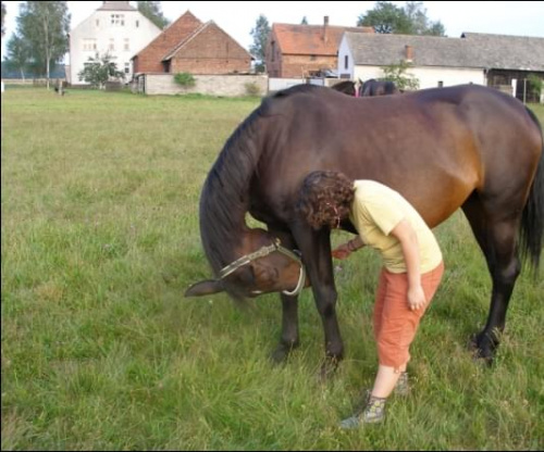 #kalinówka #konie #ObózKonny #skoki #galop #Wakacje2007