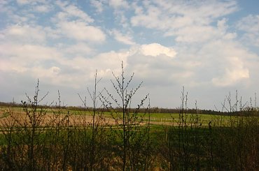 wyprawa nad Rusałkę #drzewa #las #krajobrazy #zieleń #widoki