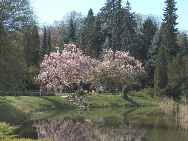 Arboretum Kornik -Wielkopolska