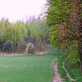 Las Nadleśnictwa Brzeziny w Kaletniku gm. Koluszki #las #Nadleśnictwo #Kaletnik #Brzeziny #Koluszki #zbiornik #Kwiat #drzewa #grzyby