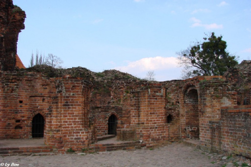 Ruiny zamku krzyżackiego w Toruniu #zamki #zwiedzanie #Toruń #Krzyżacy