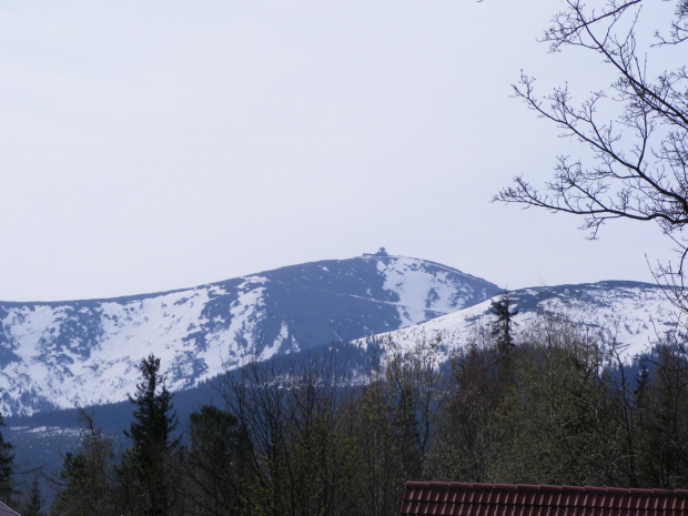 ...:śnieżka::...