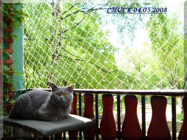 CHUCK-maj 2008