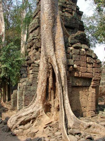 Ta Prohm