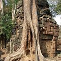 Ta Prohm