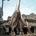 Ta Prohm