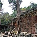 Ta Prohm