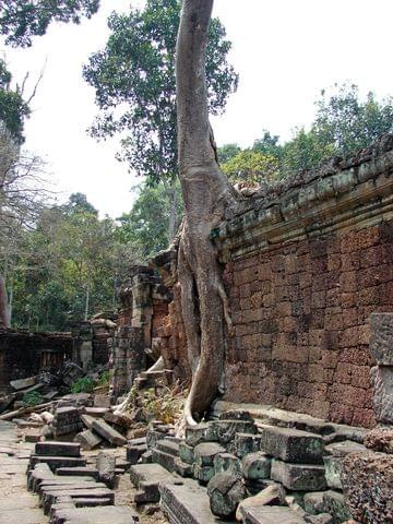 Ta Prohm