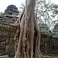 Ta Prohm