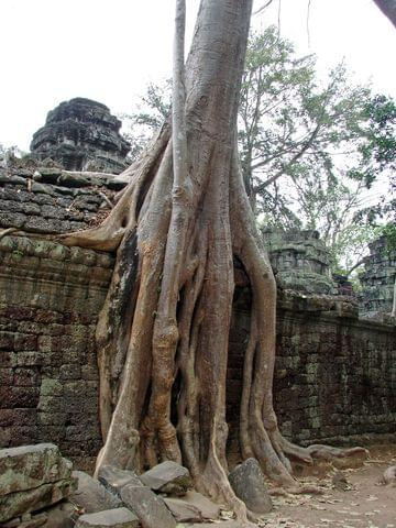 Ta Prohm