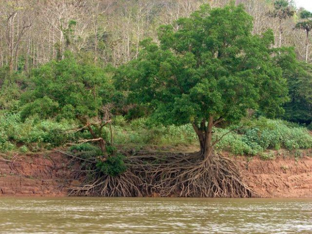 przejażdżka łódką po Mekongu na północ od Luang Prabang