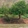 przejażdżka łódką po Mekongu na północ od Luang Prabang