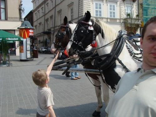 Pawełek i Jasio w Krakowie i Tatrach-maj 2008 z Agatką i Adasiem