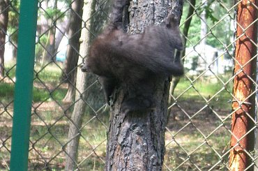 #kotek #ciekawe #słodkie #zwierzeta