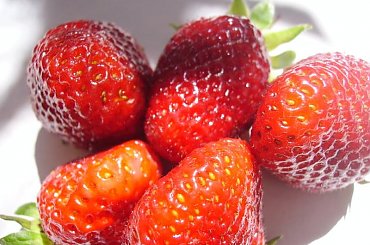 moje ulubione i wyczekane...kolor jaki pentax dał #truskawki #owoce #wiosna