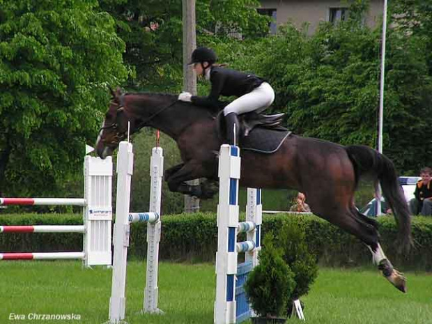 16.05.2008 Zawody Rybnik