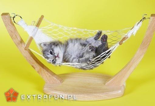 extrafun