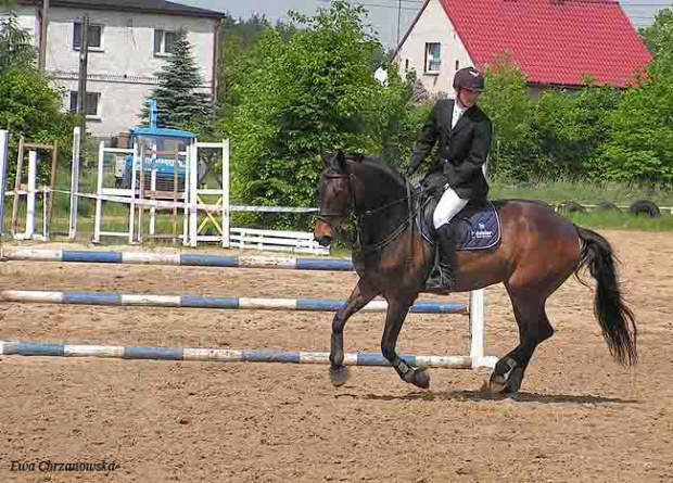 17.05.2008 Zawody w Stodołach