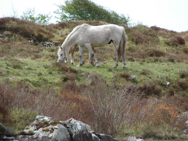 na Connemara