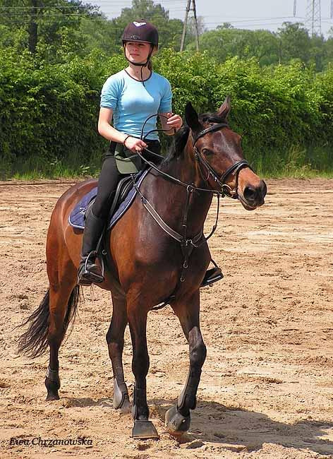 17.05.2008 Zawody w Stodołach