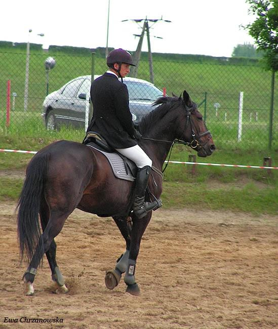 17.05.2008 Zawody w Stodołach