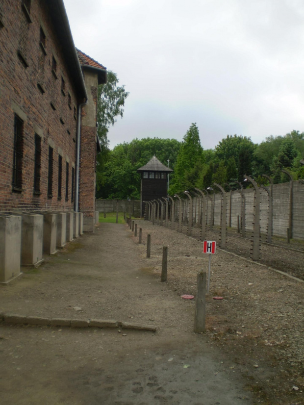 AUSCHWITZ