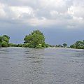 panorama ujscie mała panew-odra #natura #woda #dziura #krajobraz