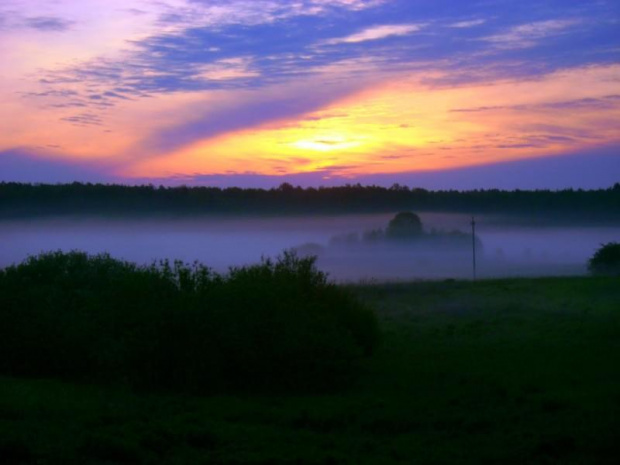 mgła - mleczna kraina