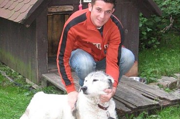 wolontariat #wakacje #foki #hel