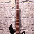 fender urge bass stu hamm