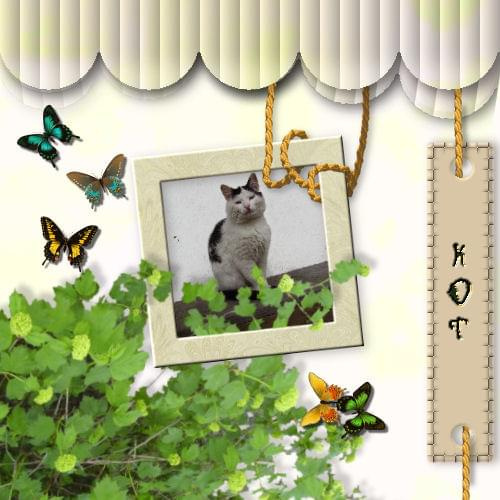 #digi #digital #scrapbooking #zdjęcia #obróbka