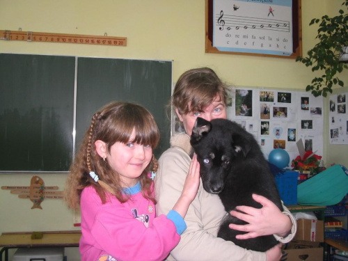 Mimi po znalezieniu :) w klasie #pies #psy #zwierzęta