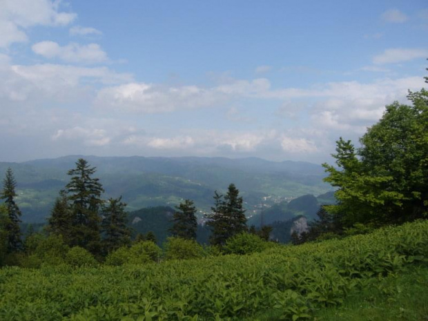 Pieniny ( w dole Sokolica)