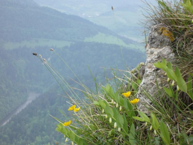 widok z Trzech Koron na Dunajec