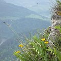 widok z Trzech Koron na Dunajec